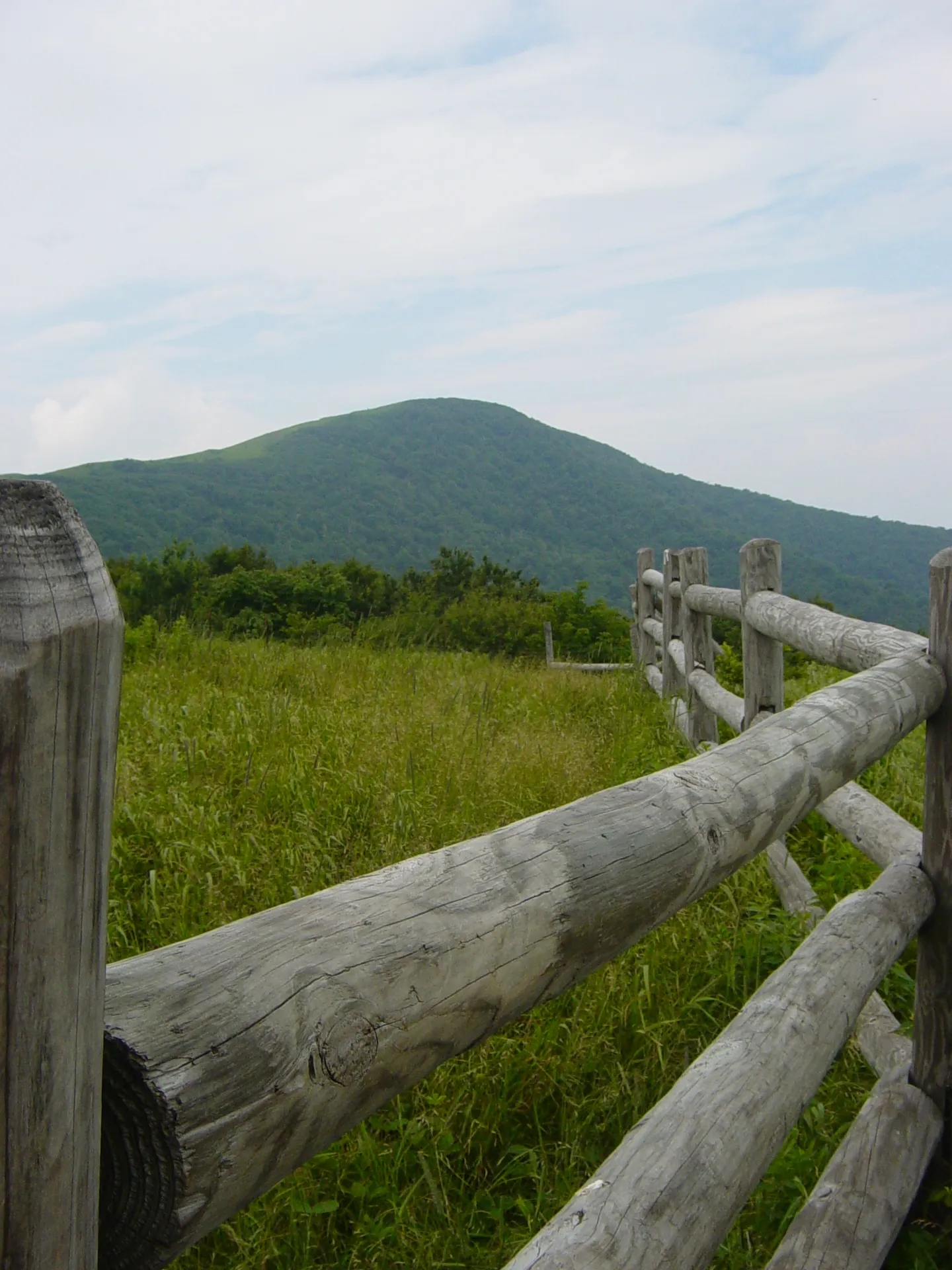 Roan Mountain landscape at the Tennessee–North Carolina border
